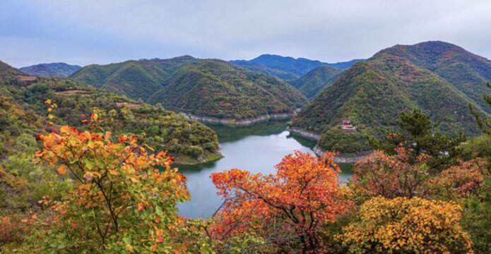 云海飄渺紅葉似火美景