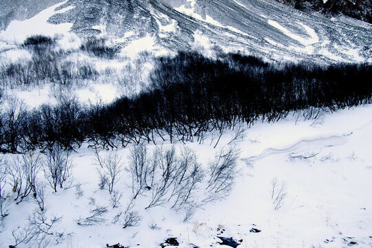 冬季被冰雪覆蓋的長白山景色