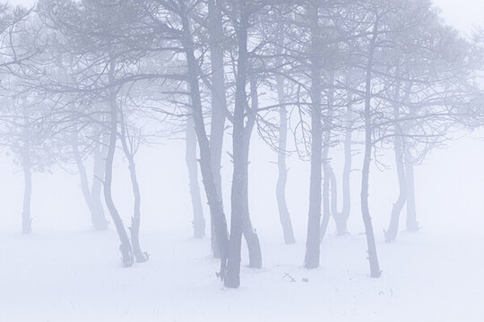 麗江玉龍雪山