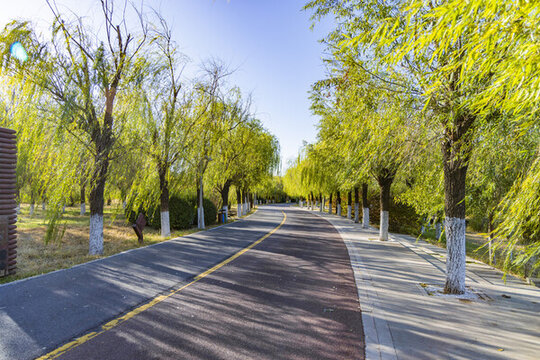 天津武清南湖公園秋季景觀