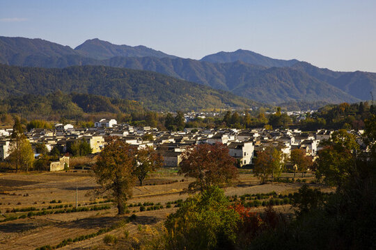 安徽蘆村