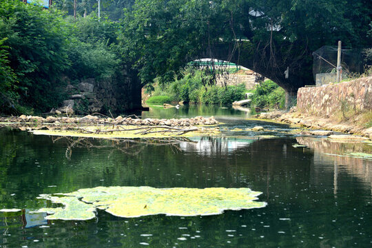 小溪