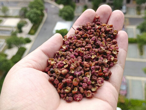 紅色干花椒
