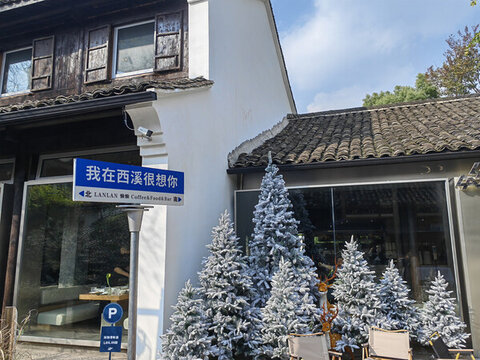 西溪圣誕樹