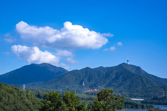 白云下的梧桐山
