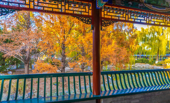 公園秋色