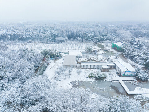 武漢東湖磨山風(fēng)景區(qū)冬季雪景