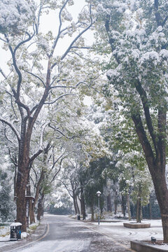 武漢東湖磨山風(fēng)景區(qū)冬季雪景