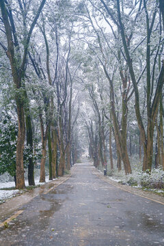 武漢東湖磨山風(fēng)景區(qū)冬季雪景