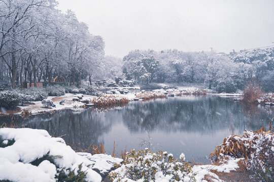 武漢東湖磨山風(fēng)景區(qū)冬季雪景