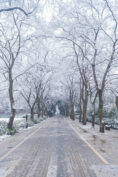 武漢東湖磨山風景區(qū)冬季雪景