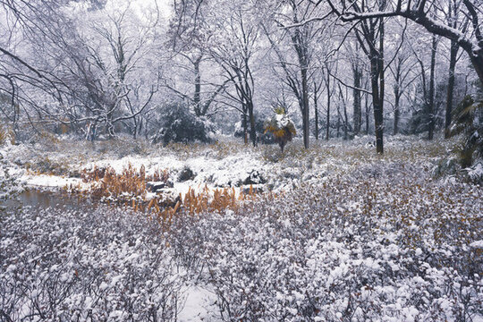武漢東湖磨山風(fēng)景區(qū)冬季雪景