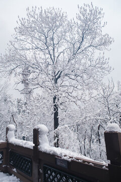 武漢東湖磨山風(fēng)景區(qū)冬季雪景