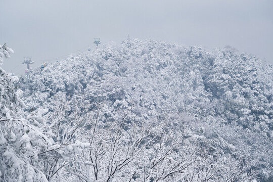 武漢東湖磨山風(fēng)景區(qū)冬季雪景