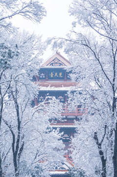 武漢東湖磨山風景區(qū)冬季雪景