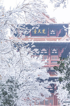 武漢東湖磨山風(fēng)景區(qū)冬季雪景