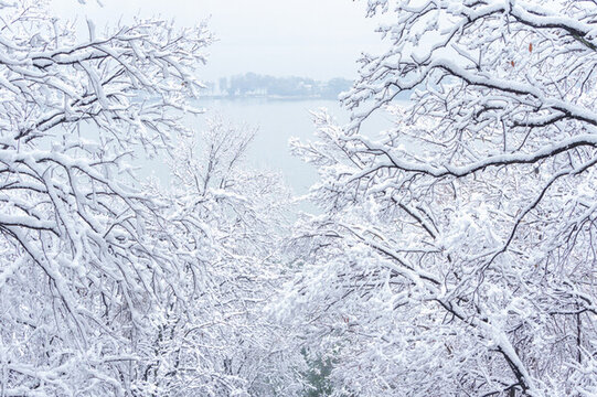 武漢東湖磨山風景區(qū)冬季雪景