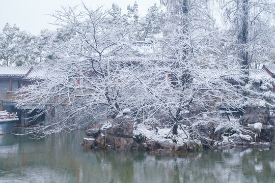 武漢東湖磨山風(fēng)景區(qū)冬季雪景