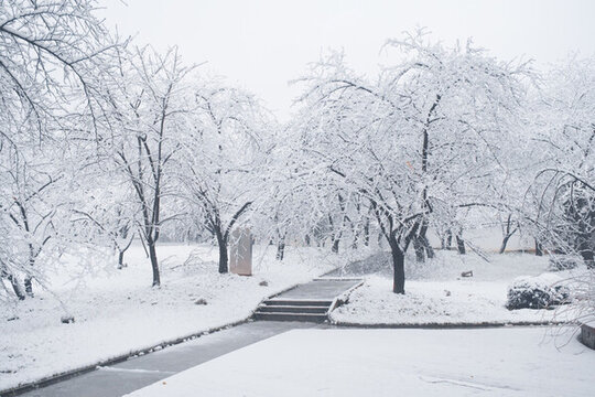武漢東湖磨山風(fēng)景區(qū)冬季雪景