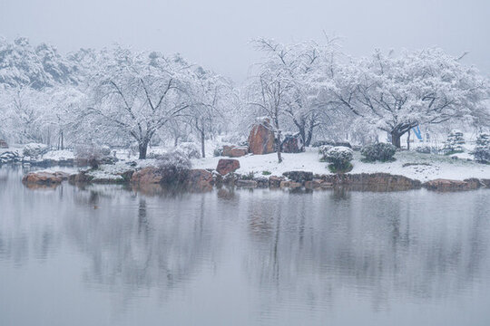武漢東湖磨山風(fēng)景區(qū)冬季雪景