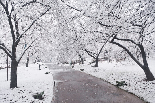 武漢東湖磨山風(fēng)景區(qū)冬季雪景