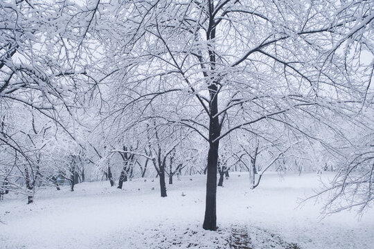 武漢東湖磨山風(fēng)景區(qū)冬季雪景