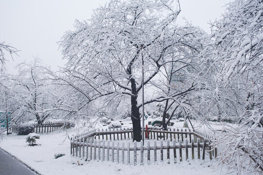 武漢東湖磨山風(fēng)景區(qū)冬季雪景