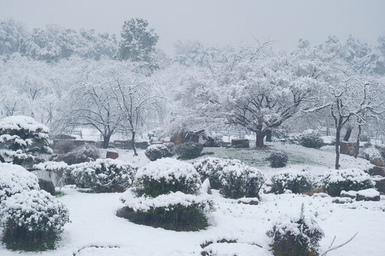 武漢東湖磨山風(fēng)景區(qū)冬季雪景