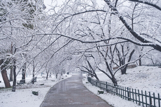 武漢東湖磨山風景區(qū)冬季雪景