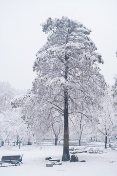 武漢東湖磨山風(fēng)景區(qū)冬季雪景