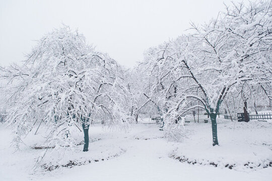 武漢東湖磨山風(fēng)景區(qū)冬季雪景