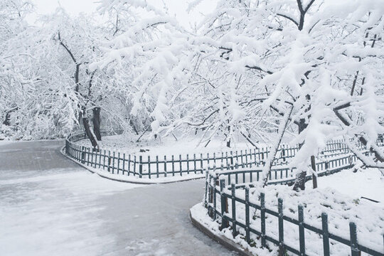 武漢東湖磨山風(fēng)景區(qū)冬季雪景