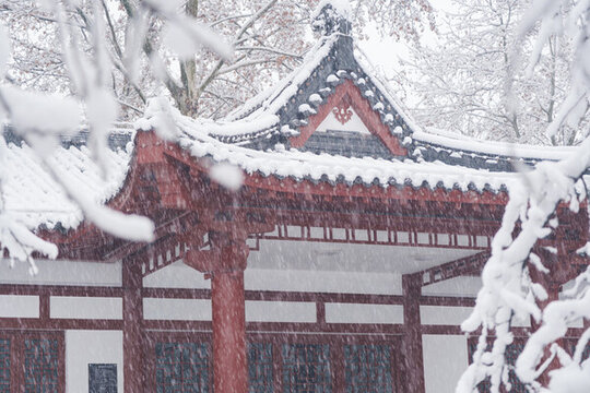 武漢東湖磨山風(fēng)景區(qū)冬季雪景
