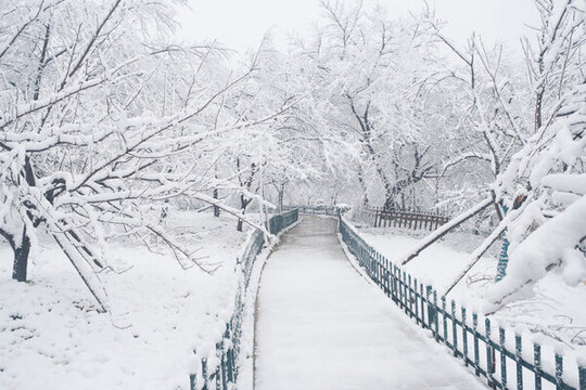 武漢東湖磨山風(fēng)景區(qū)冬季雪景
