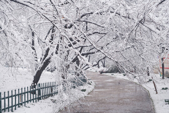 武漢東湖磨山風(fēng)景區(qū)冬季雪景