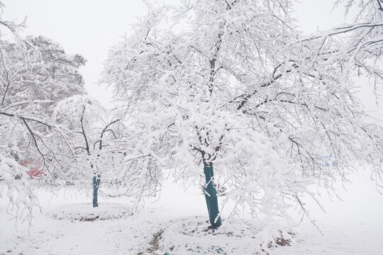 武漢東湖磨山風(fēng)景區(qū)冬季雪景