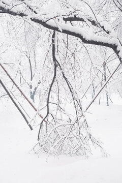 武漢東湖磨山風景區(qū)冬季雪景