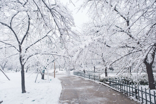 武漢東湖磨山風景區(qū)冬季雪景