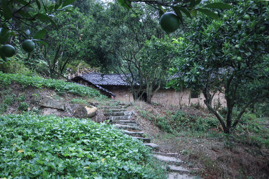 農(nóng)舍
