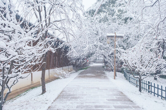 武漢東湖磨山風(fēng)景區(qū)冬季雪景
