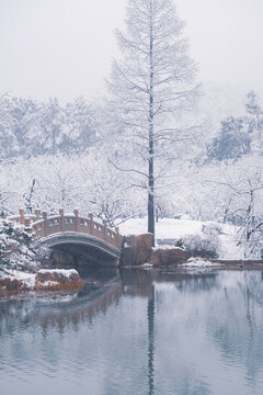 武漢東湖磨山風(fēng)景區(qū)冬季雪景