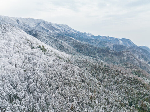 江西廬山風(fēng)景區(qū)雪景風(fēng)光