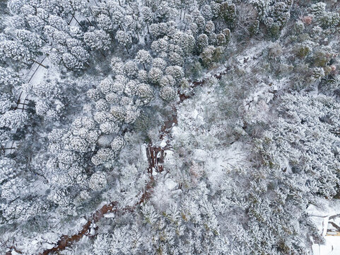 江西廬山風(fēng)景區(qū)雪景風(fēng)光