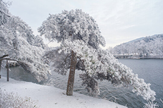 江西廬山風(fēng)景區(qū)雪景風(fēng)光
