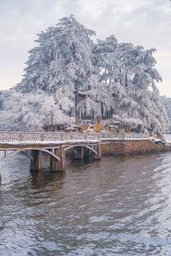 江西廬山風(fēng)景區(qū)雪景風(fēng)光