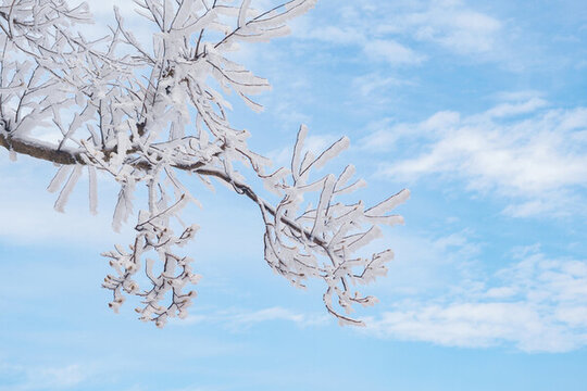 江西庐山风景区雪景风光