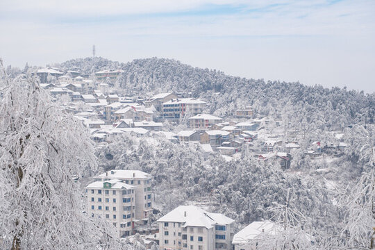 江西廬山風(fēng)景區(qū)雪景風(fēng)光