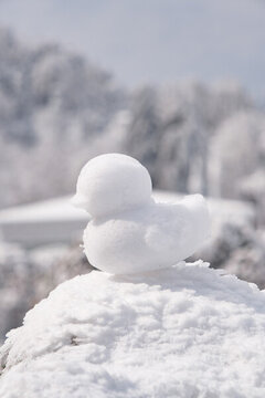 江西廬山風(fēng)景區(qū)雪景風(fēng)光