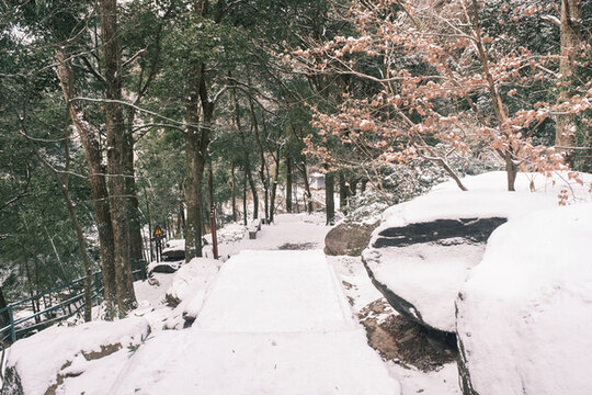 江西廬山風(fēng)景區(qū)雪景風(fēng)光