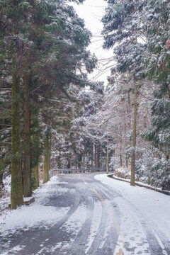 江西廬山風(fēng)景區(qū)雪景風(fēng)光